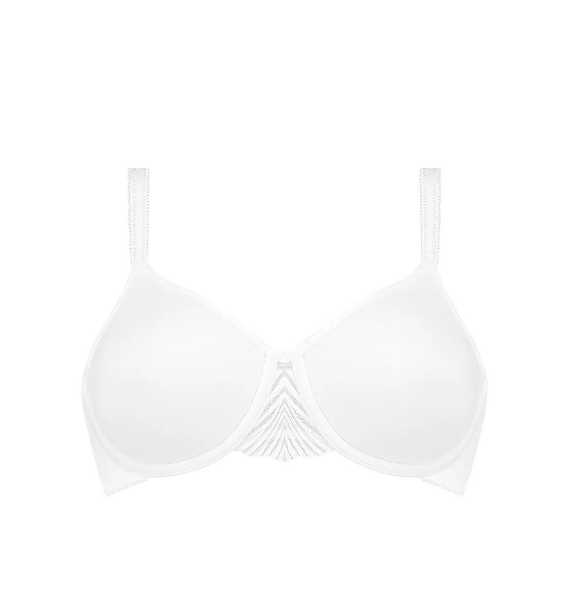 My Perfect Shaper WP