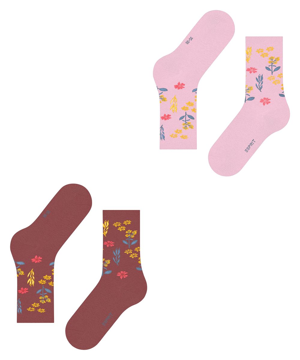 Esprit Winter Flower 2-Pack Damen
