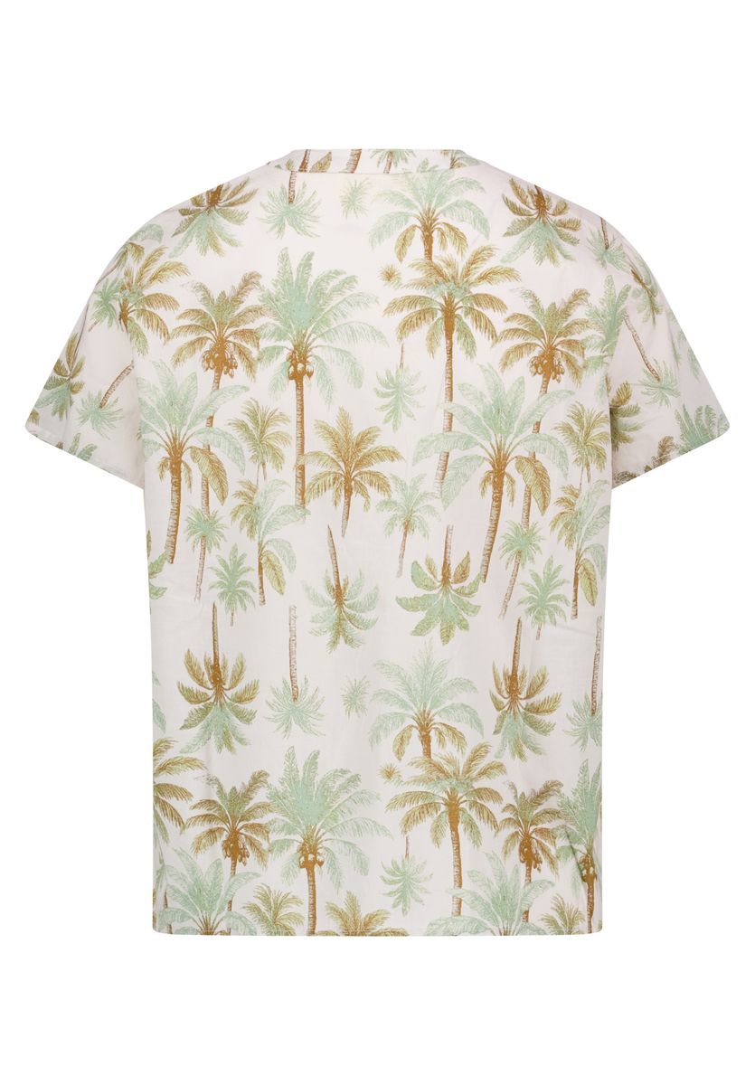 Blusenshirt