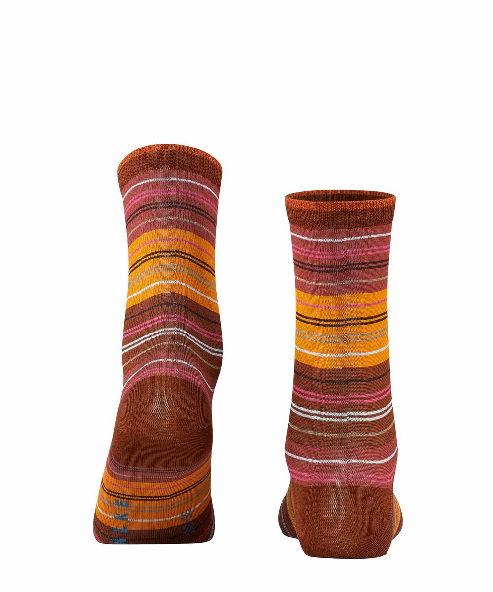 Socken Polychromatic