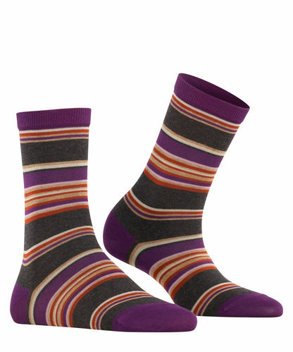 Socken Pop Stripe