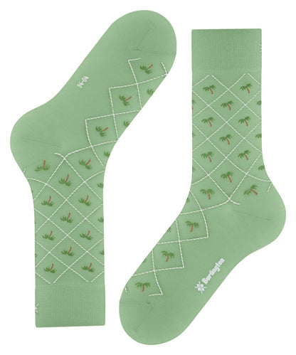 Burlington Palm Tree Herren