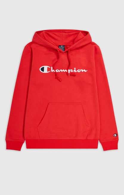 Icons Hooded Sweatshirt Large Logo
