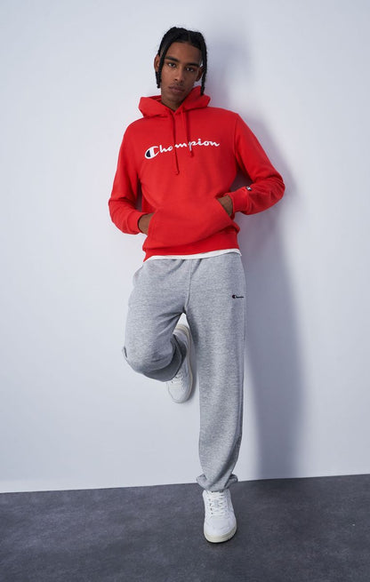 Icons Hooded Sweatshirt Large Logo