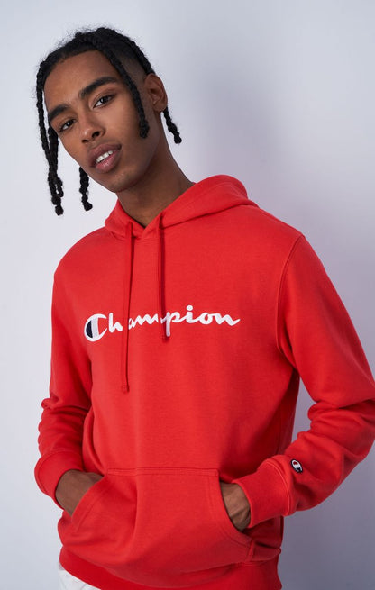 Icons Hooded Sweatshirt Large Logo