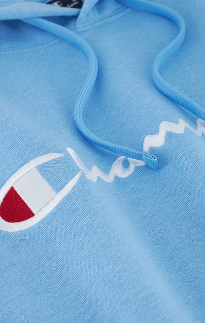 Icons Hooded Sweatshirt Large Logo