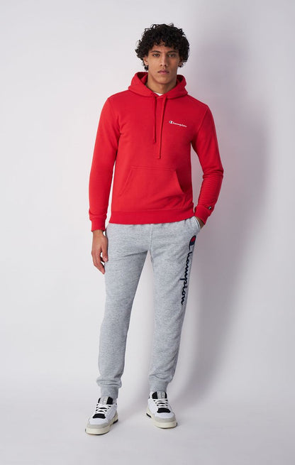 Icons Hooded Sweatshirt Small Logo