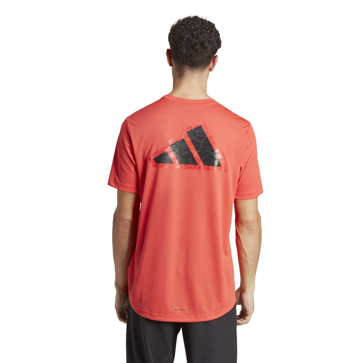 Workout Base Logo T-Shirt