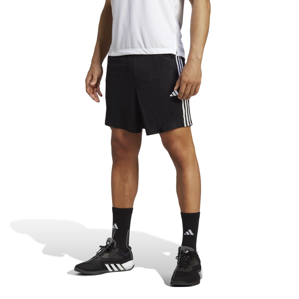 ADIDAS Herren Shorts TR-ES PIQ 3SHO