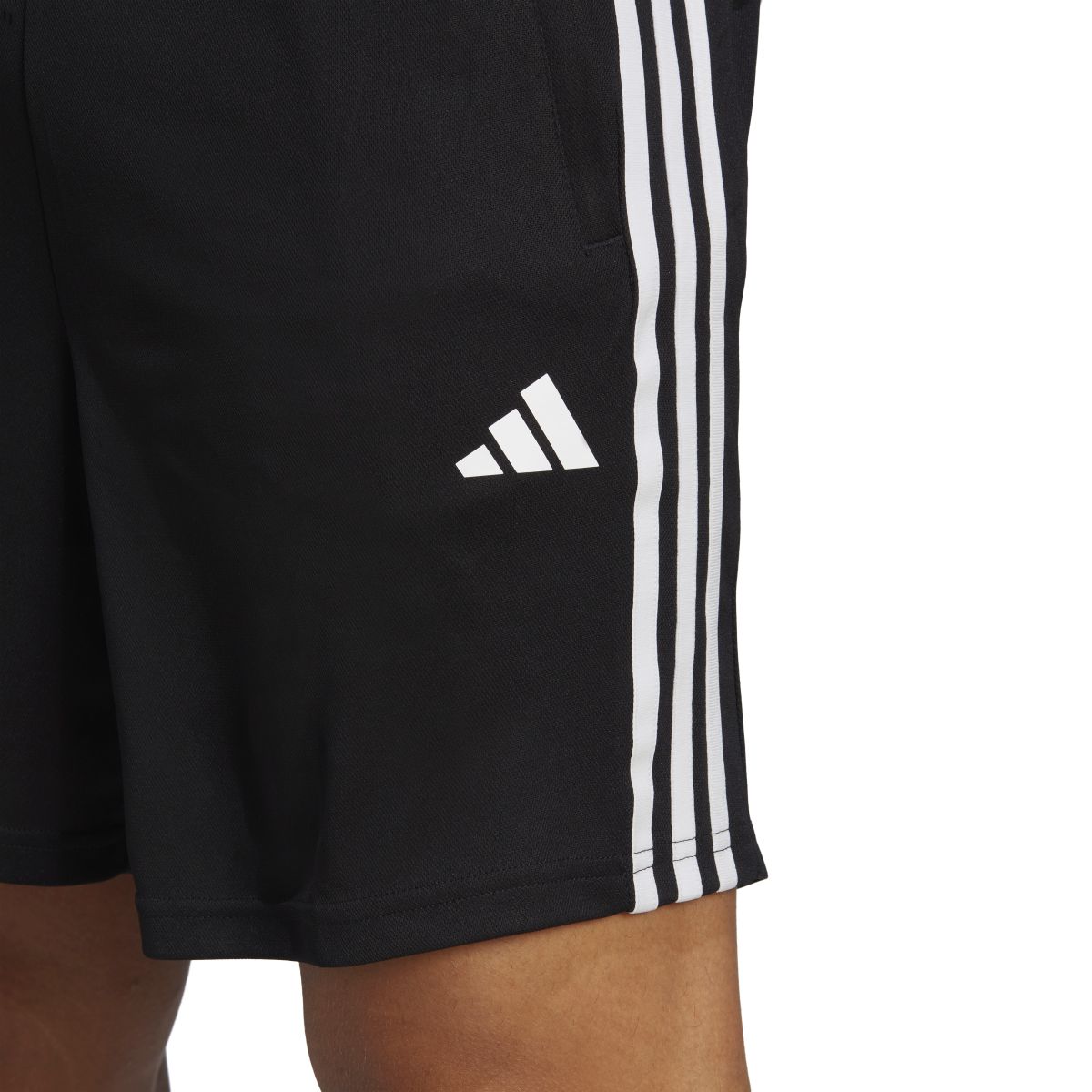 ADIDAS Herren Shorts TR-ES PIQ 3SHO