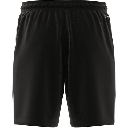 ADIDAS Herren Shorts TR-ES PIQ 3SHO