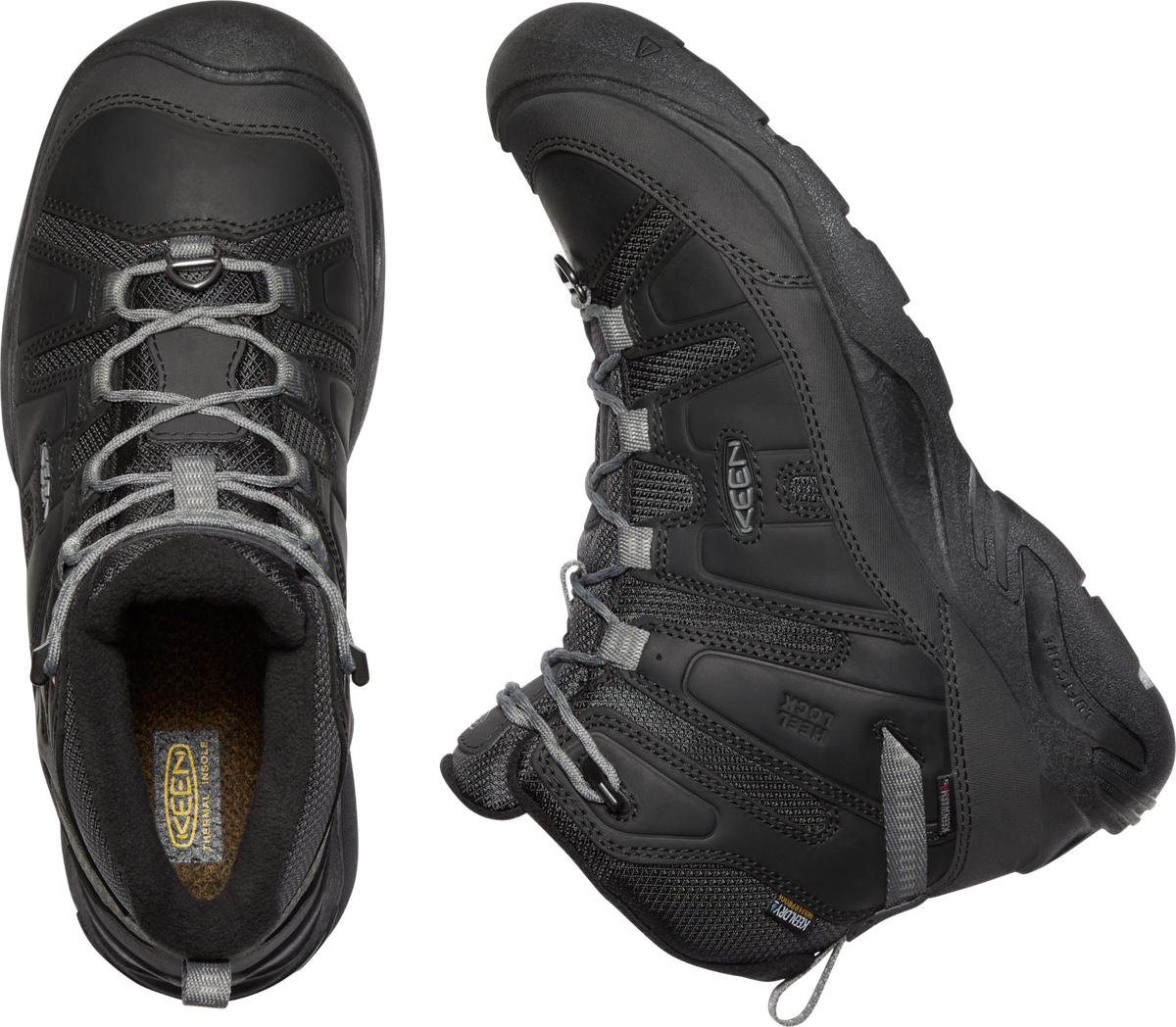 CIRCADIA MID POLAR