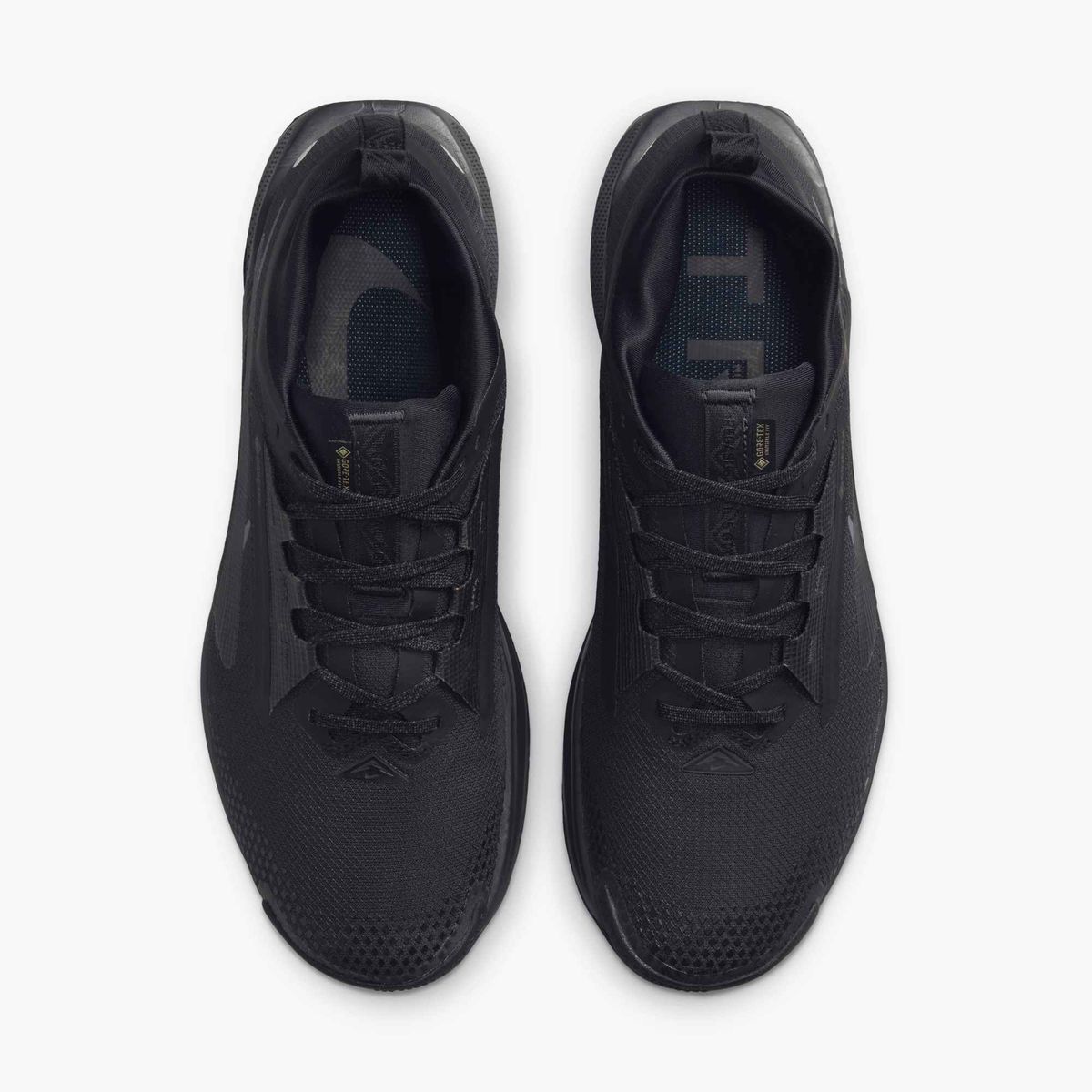 NIKE PEGASUS TRAIL 5 GTX
