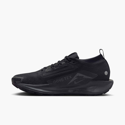 NIKE PEGASUS TRAIL 5 GTX