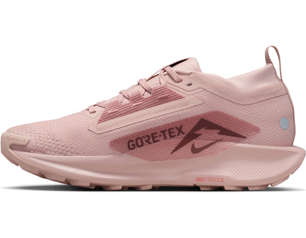 Nike W Pegasus Trail 5 Gtx - pink oxford/red stardust-red sepia