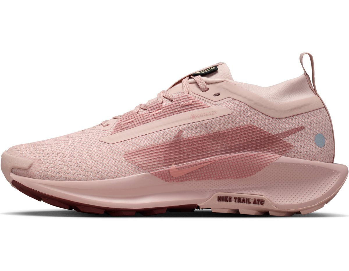 Nike W Pegasus Trail 5 Gtx - pink oxford/red stardust-red sepia