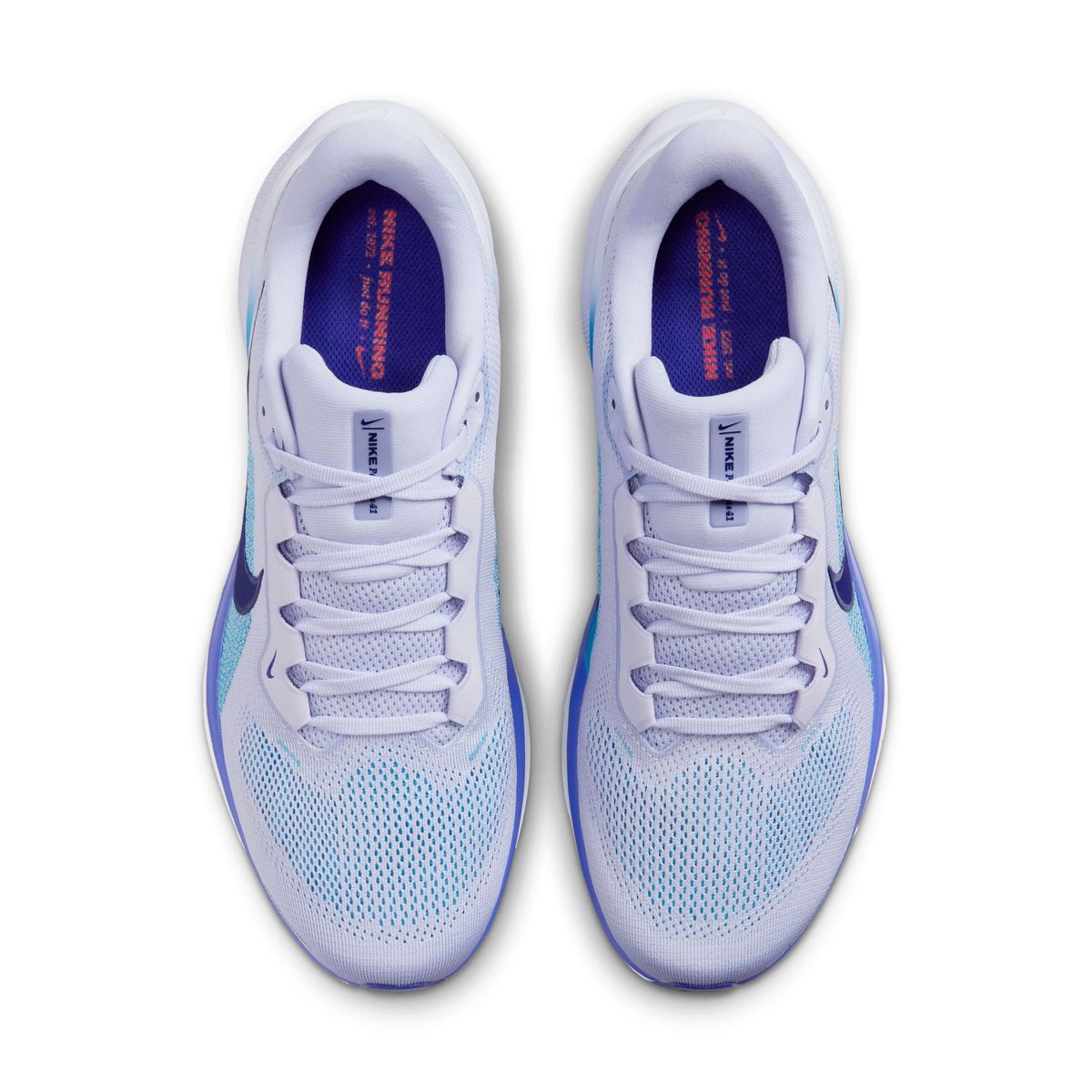 AIR ZOOM PEGASUS 41