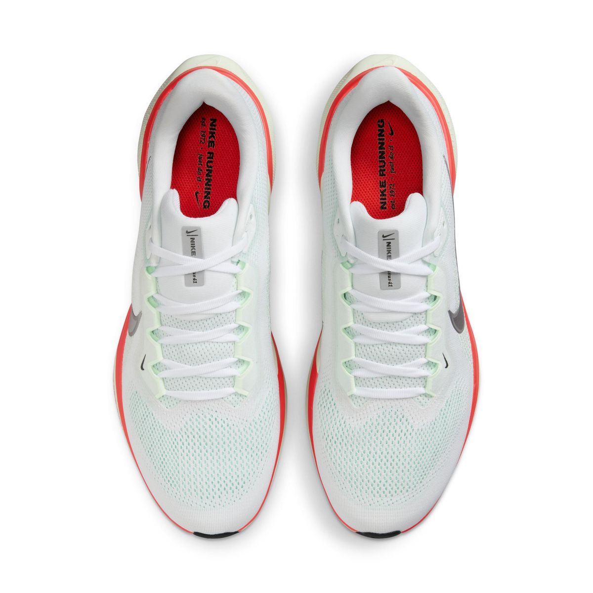 AIR ZOOM PEGASUS 41