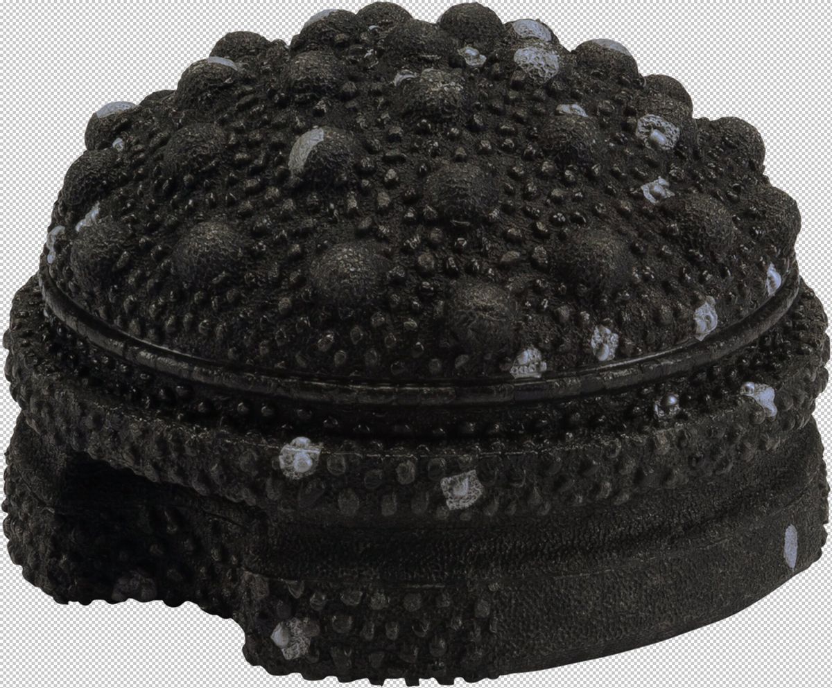 BLACKROLL Faszienball Twister
