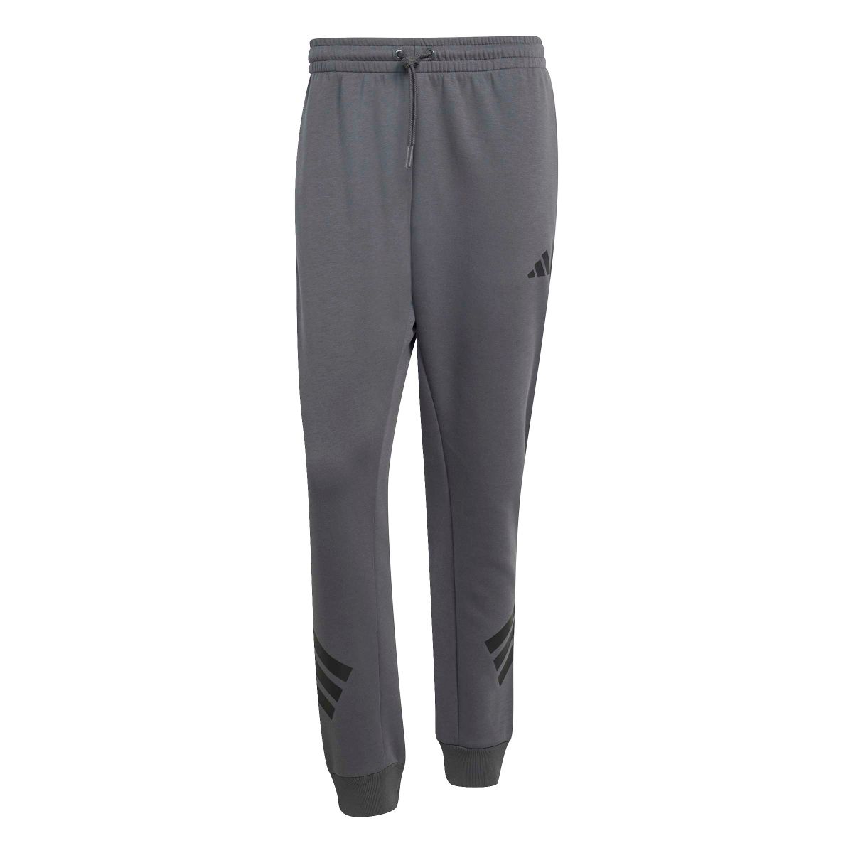 Future Icons 3-Streifen Hose