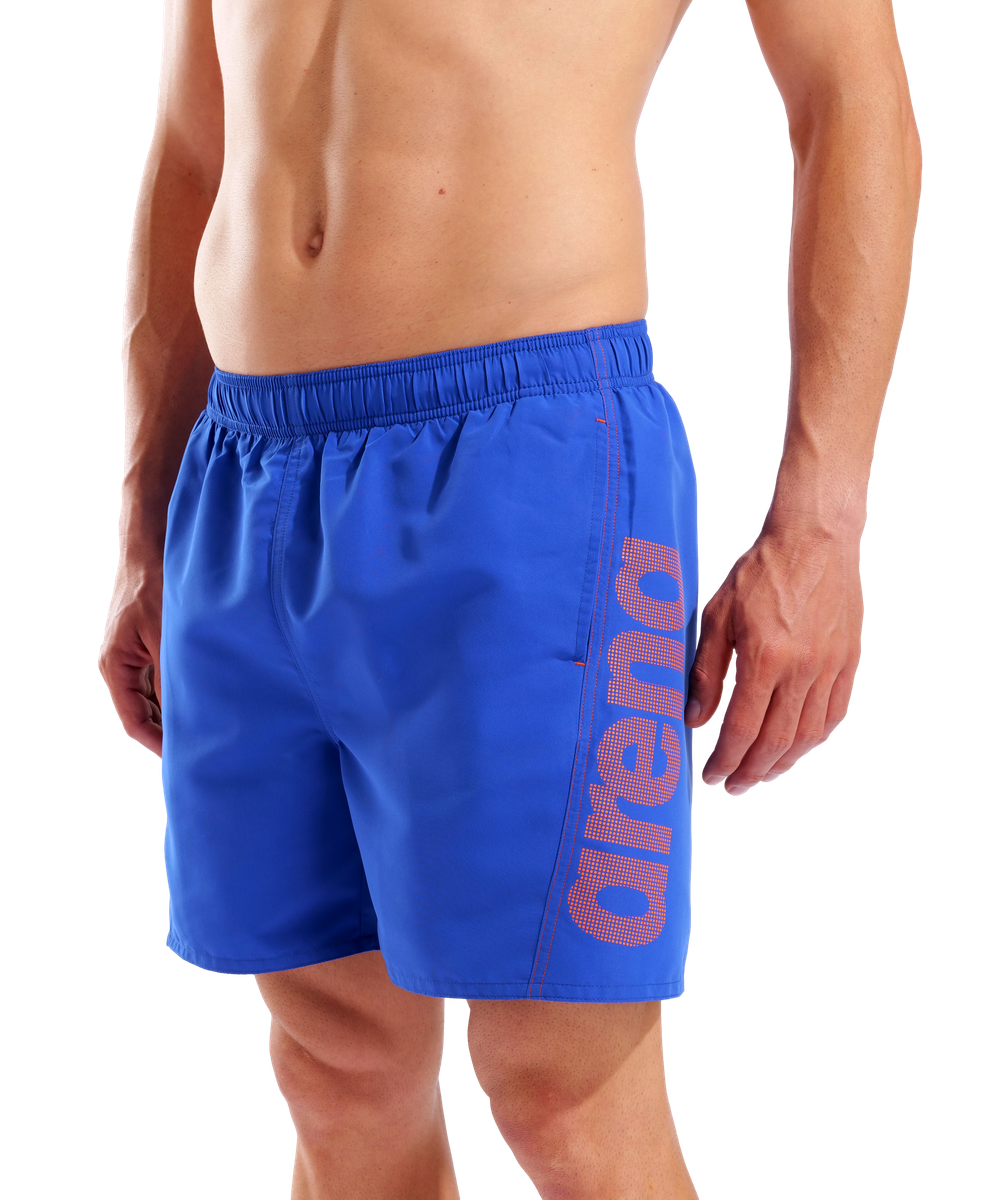 arena Herren Fundamentals Logo R Boxer Beach Shorts
