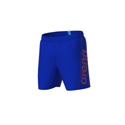 arena Herren Fundamentals Logo R Boxer Beach Shorts