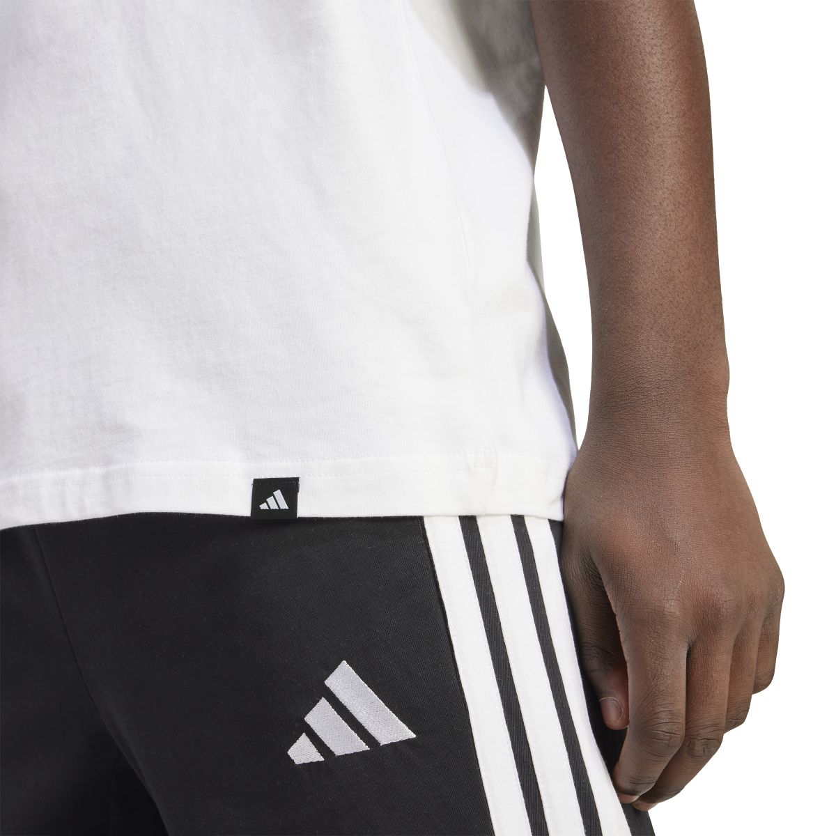 M PENNANT T