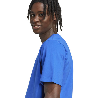 M PENNANT T