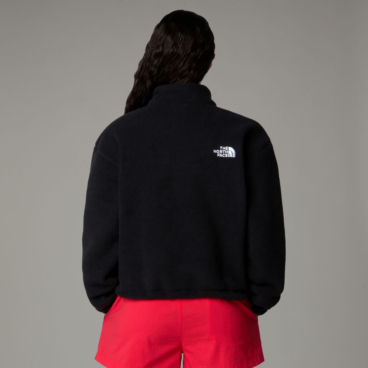 W TNF FLEESKI 1/4 ZIP PO